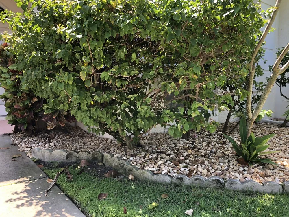 Reliable yard cleanup service in Palm Bay, FL by Stan Lawncare