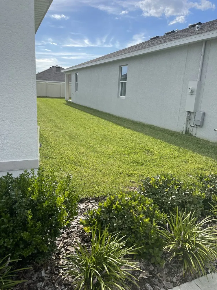 Expert lawn care service in Palm Bay, FL by Stan Lawncare