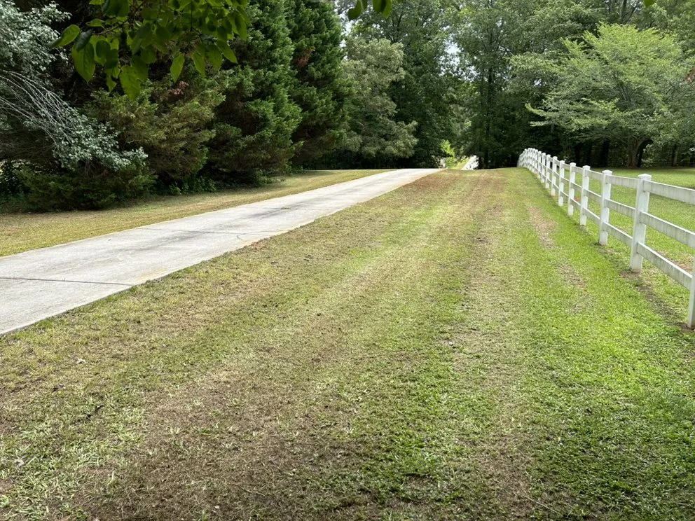 Affordable yard maintenance in Covington, GA - Stan Lawrence Lawn Care Service
