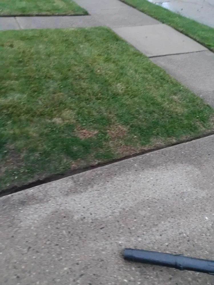 Trusted lawn mowing service experts serving Eastpointe, MI - Stan the Man landscaping