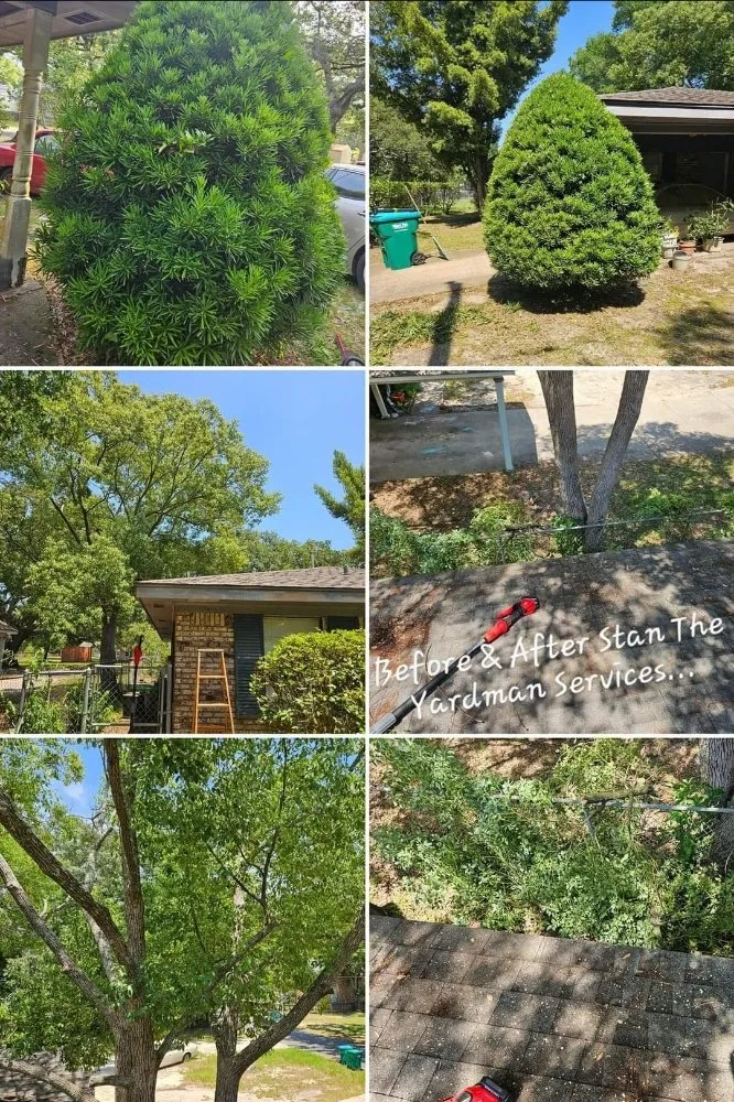 Trusted landscape design in Gulfport, MS - Stan The Yard Man Services