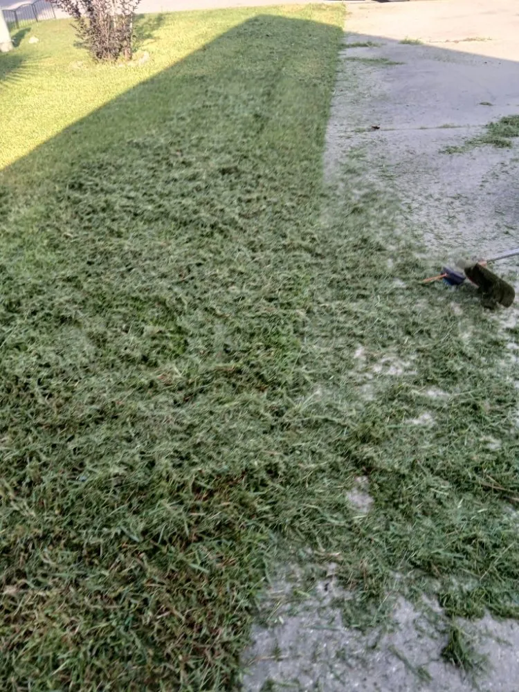 Professional landscape design experts serving Gulfport, MS - Stan The Yard Man Services