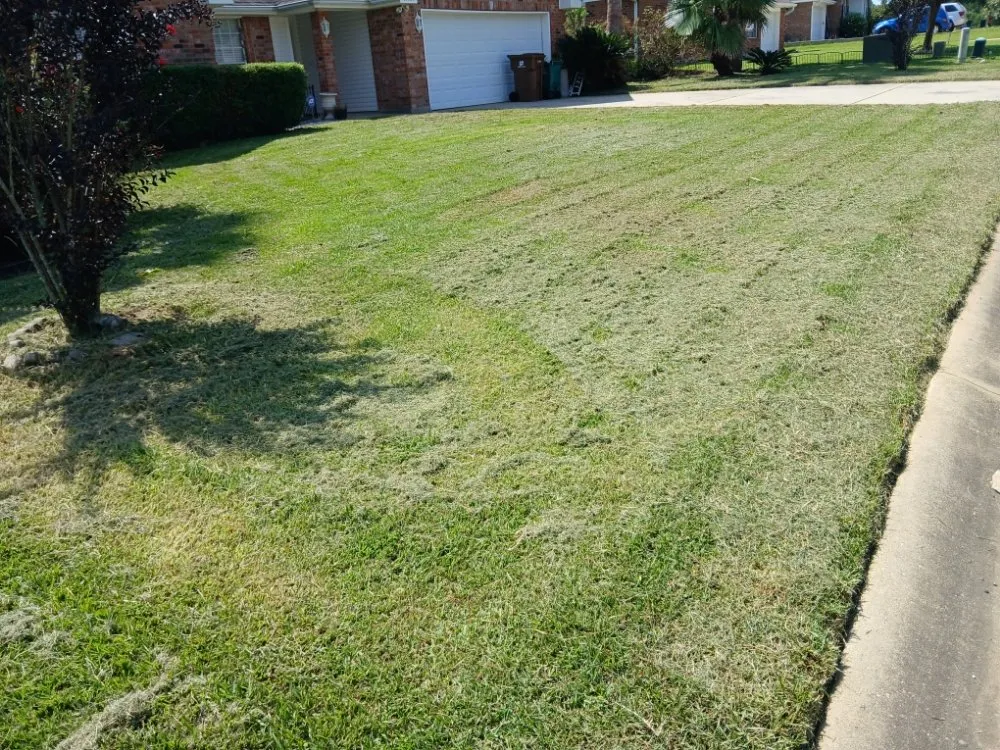 Expert lawn mowing service experts serving Gulfport, MS - Stan The Yard Man Services