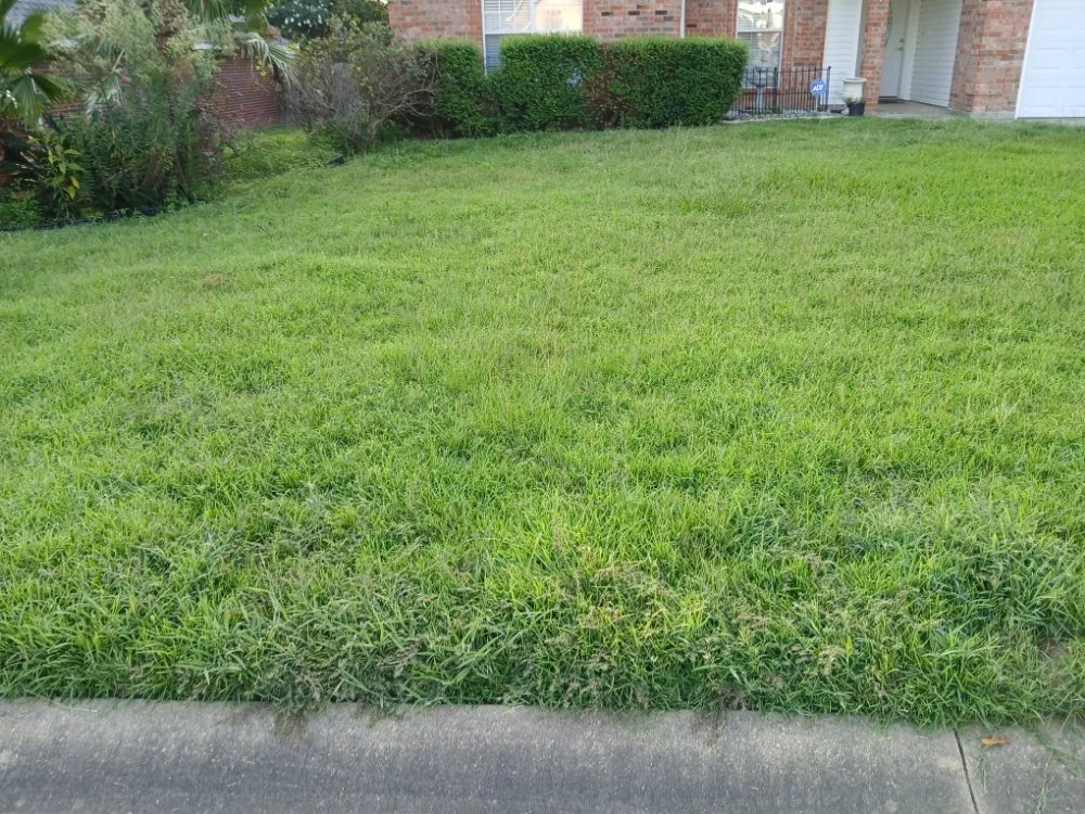 Reliable garden landscaping for year-round maintenance across Gulfport, MS - Stan The Yard Man Services