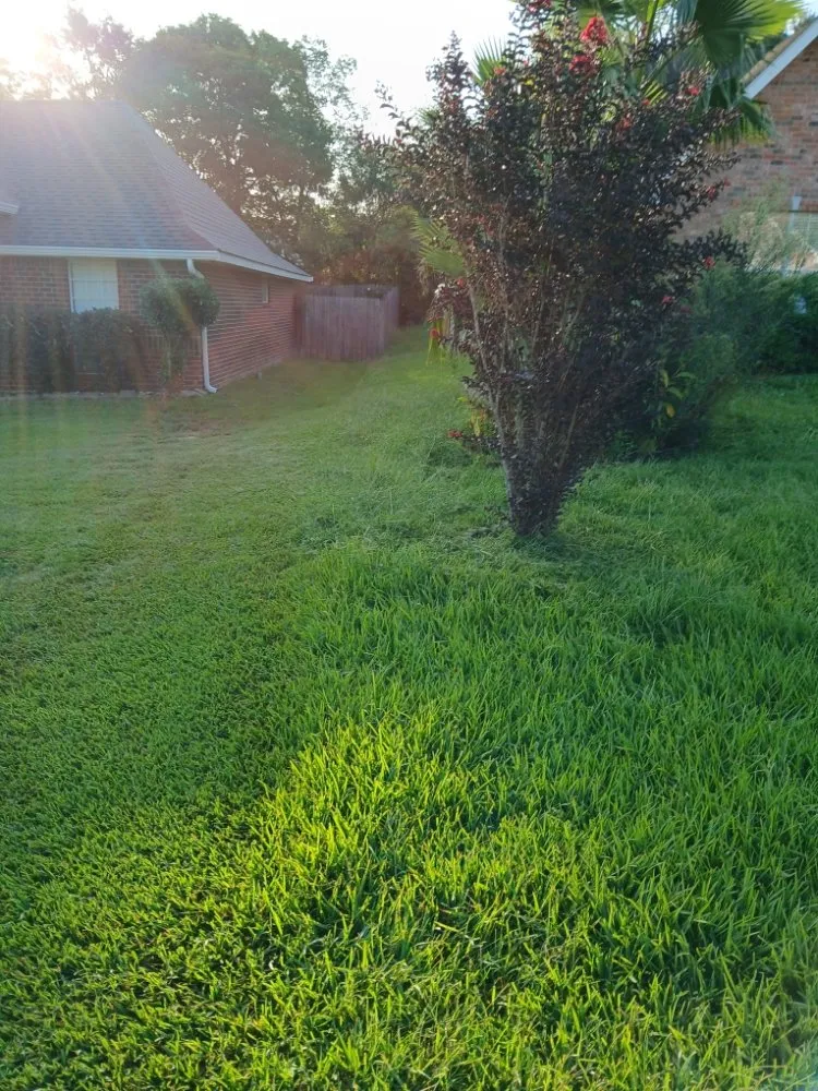 Professional yard maintenance in Gulfport, MS - Stan The Yard Man Services