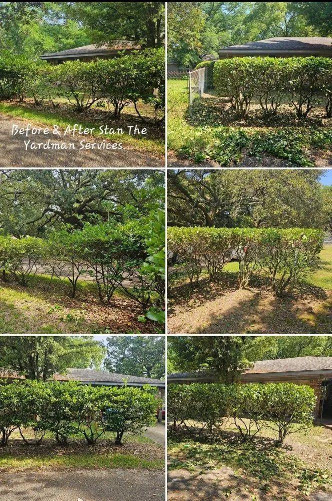 Trusted lawn care service in Gulfport, MS - Stan The Yard Man Services