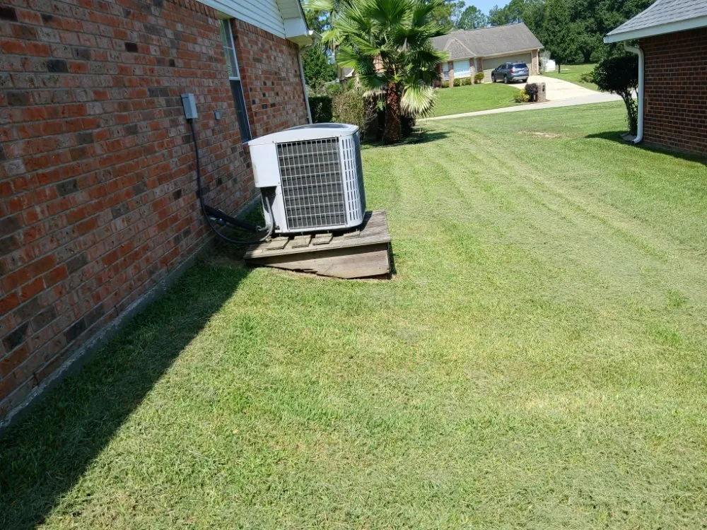 Expert yard cleanup service experts serving Gulfport, MS - Stan The Yard Man Services