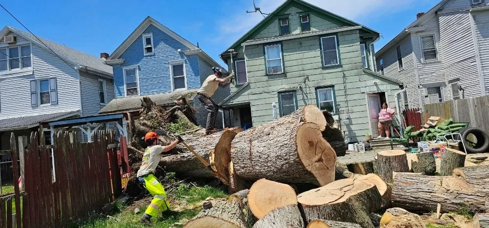 Top-rated landscape installation near you across Catawissa, PA - Stanchicks Tree & Landscaping Services