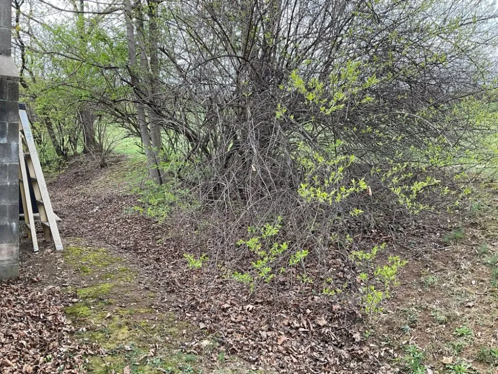 Professional lawn care service near you across Catawissa, PA - Stanchicks Tree & Landscaping Services