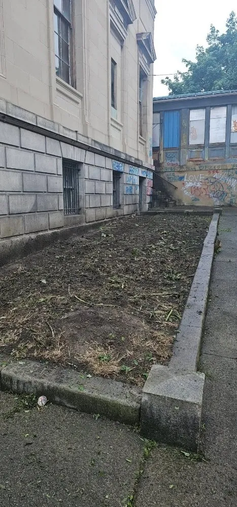 Local landscaping services in Catawissa, PA - Stanchicks Tree & Landscaping Services