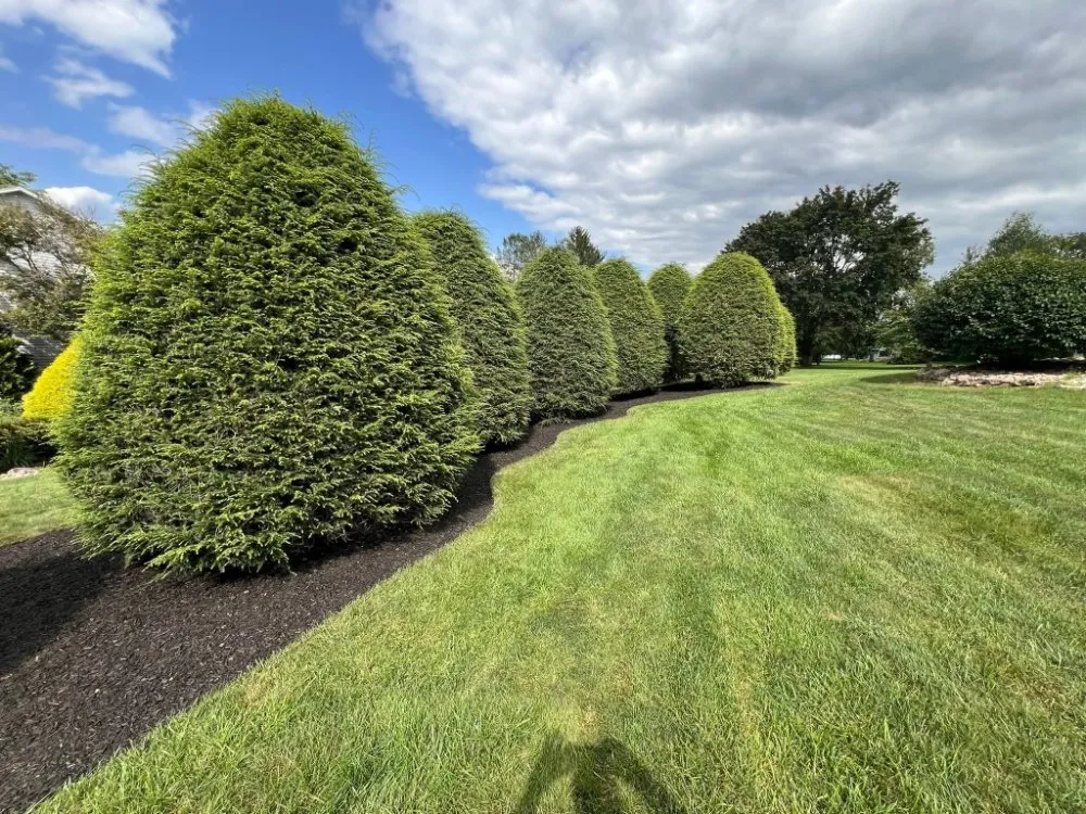 Top-rated yard cleanup service in Catawissa, PA by Stanchicks Tree & Landscaping Services