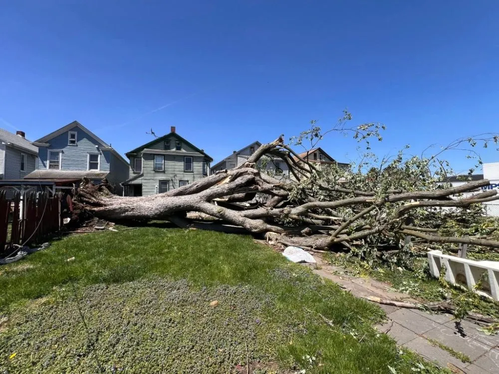 Local landscape design experts serving Catawissa, PA - Stanchicks Tree & Landscaping Services