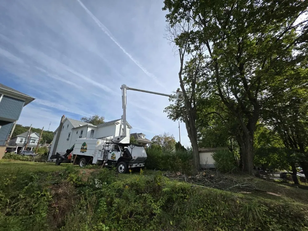 Reliable yard maintenance near you in Catawissa, PA by Stanchicks Tree & Landscaping Services