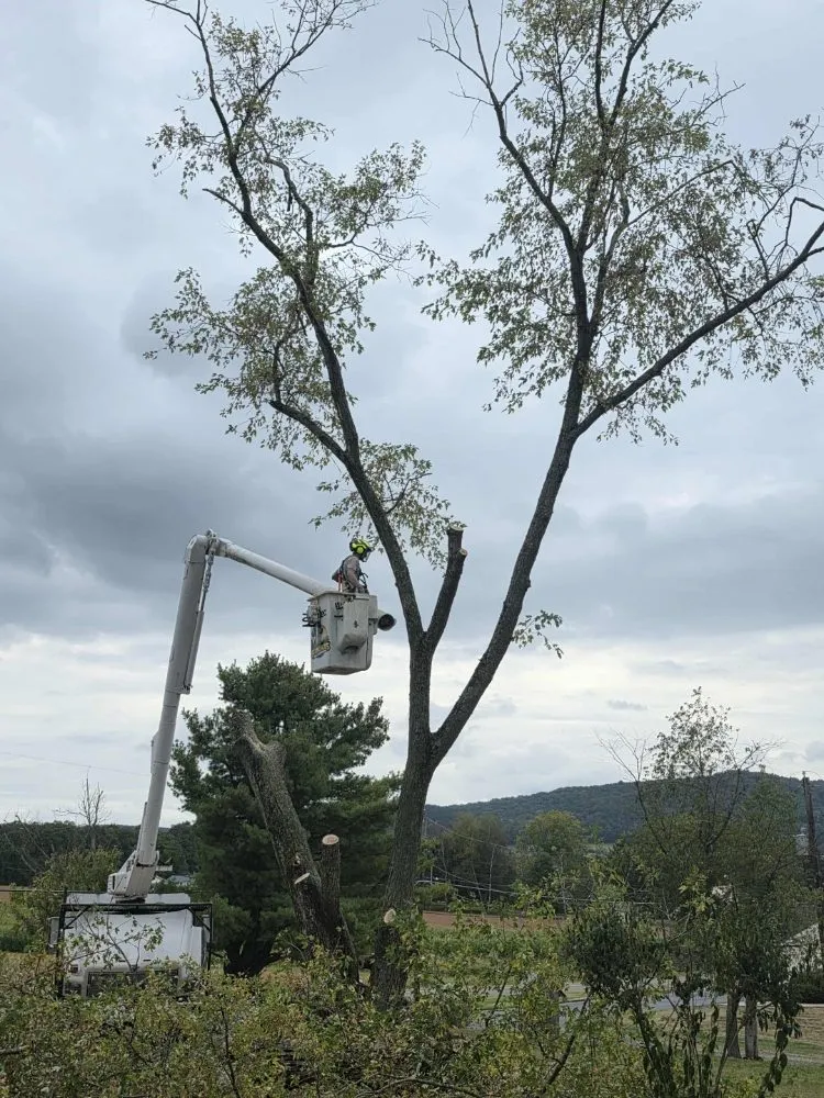 Custom landscape installation experts serving Catawissa, PA - Stanchicks Tree & Landscaping Services