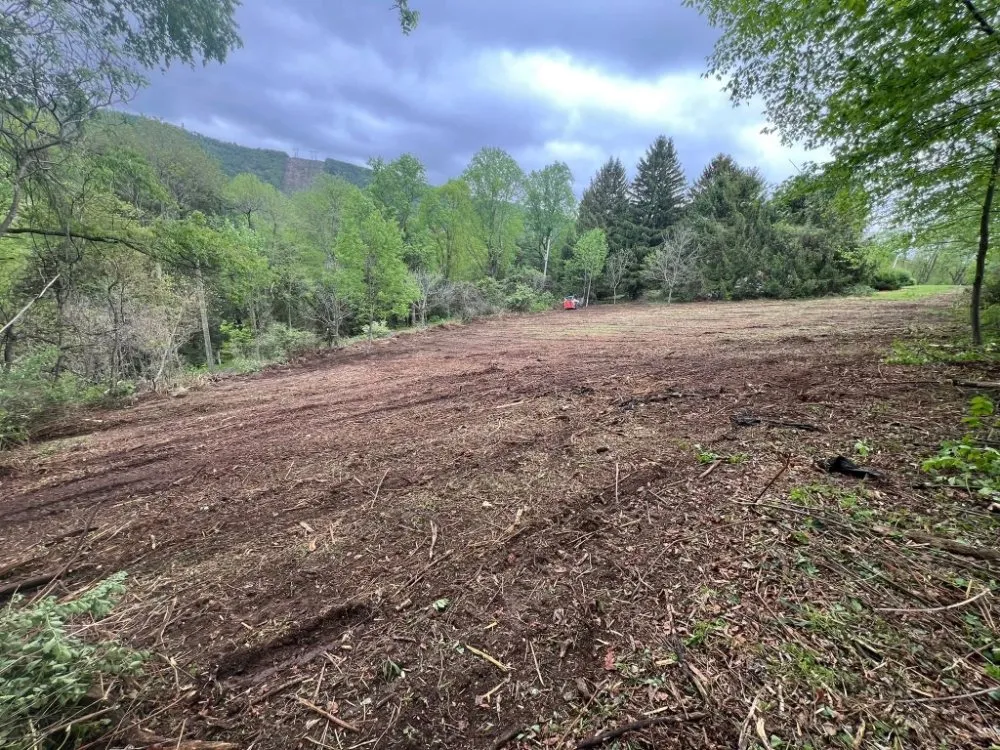 Reliable residential landscaping in Catawissa, PA by Stanchicks Tree & Landscaping Services