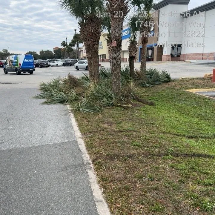 Reliable residential landscaping experts serving Daytona Beach, FL - Stancil Property Solutions