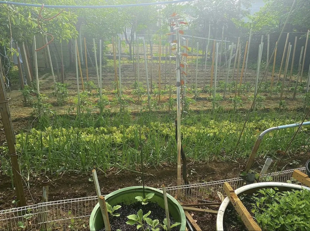 Reliable garden landscaping in Glen Cove, NY by Stanco's Landscape and Nursery