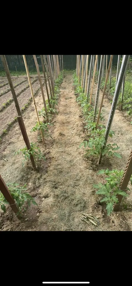 Trusted lawn mowing service in Glen Cove, NY by Stanco's Landscape and Nursery