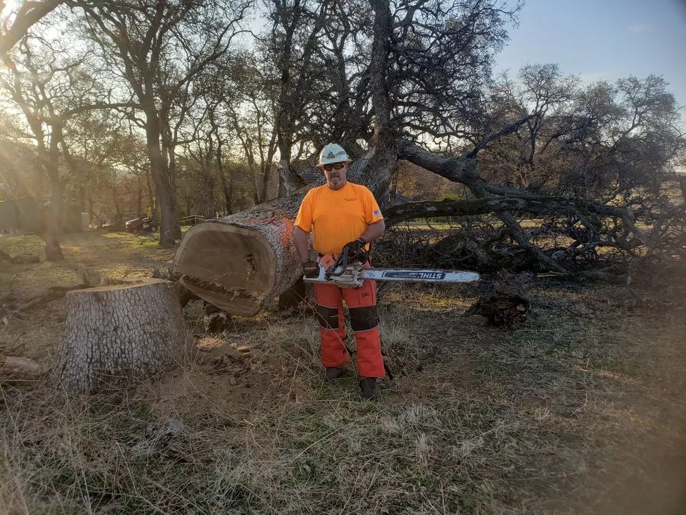 Professional residential landscaping in Grass Valley, CA - Stand Alone Land Clearing