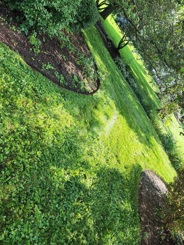 Reliable landscape design in Lake in the Hills, IL - Stand-up landscaping