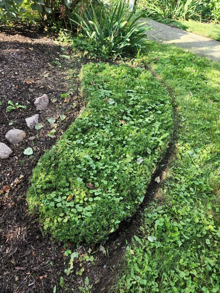 Affordable lawn care service experts serving Lake in the Hills, IL - Stand-up landscaping