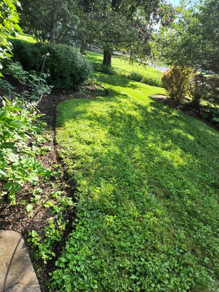 Professional outdoor landscaping in Lake in the Hills, IL - Stand-up landscaping