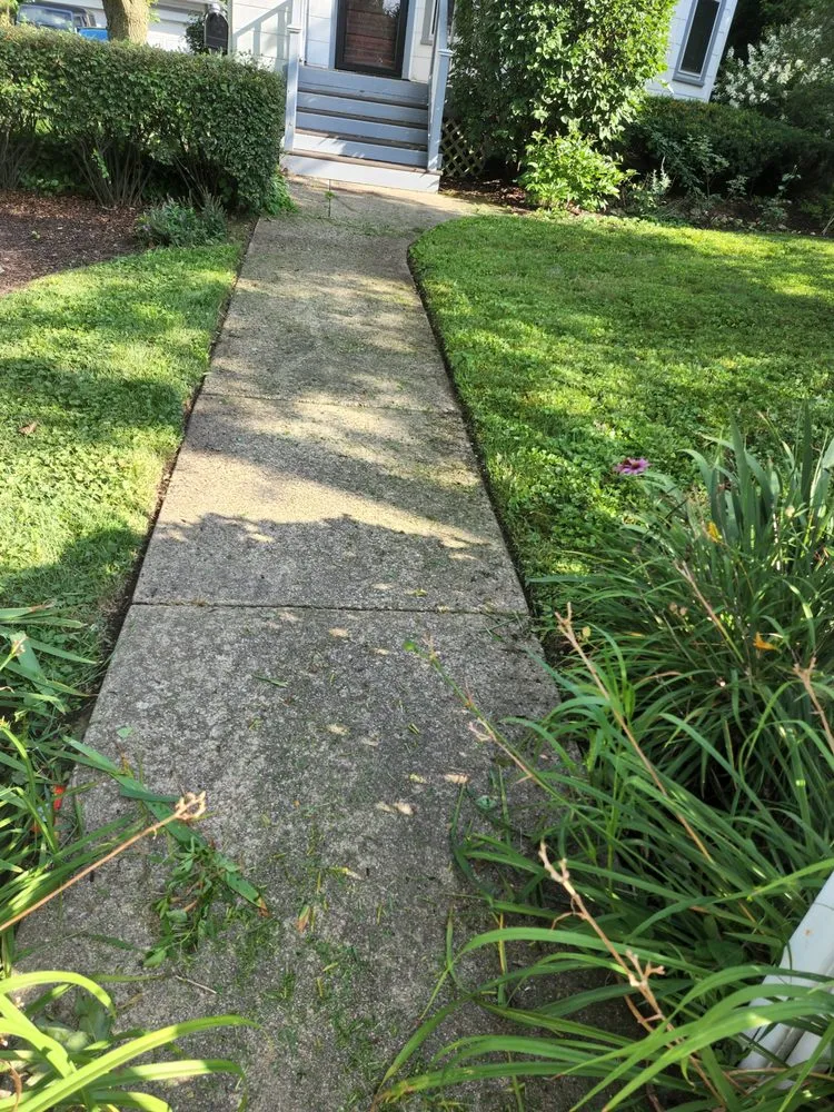 Professional yard cleanup service in Lake in the Hills, IL by Stand-up landscaping