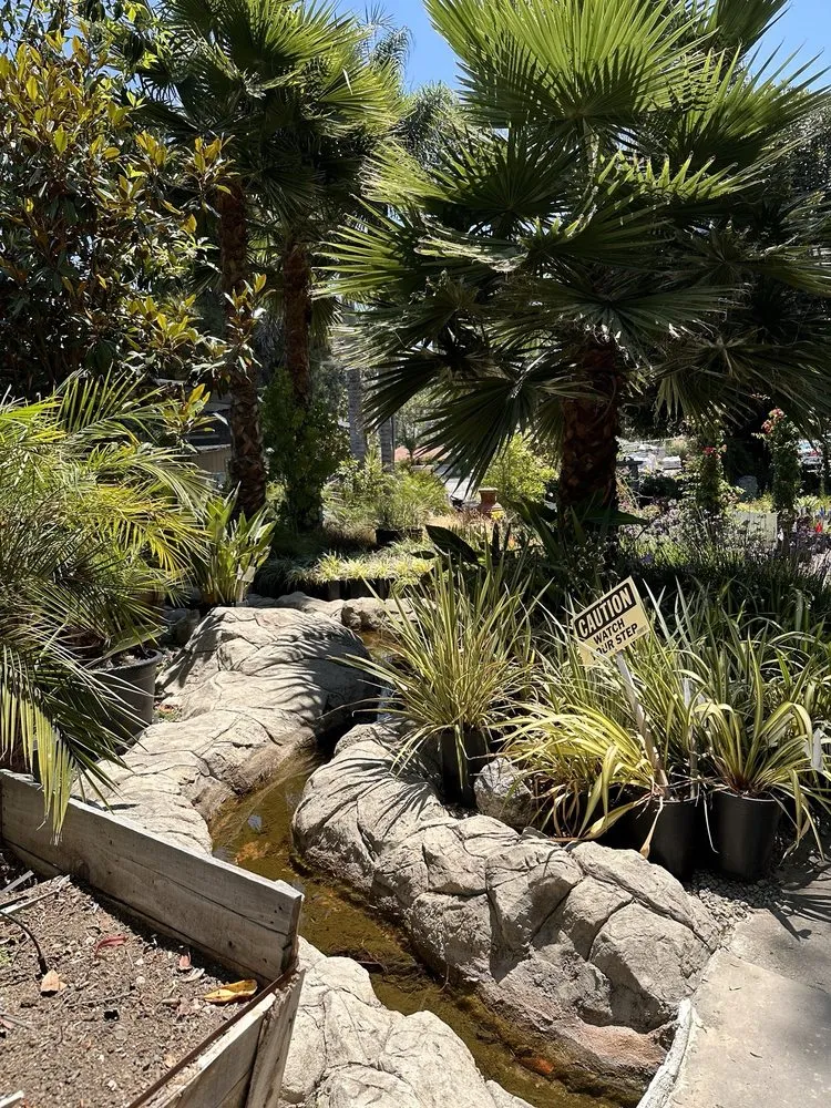 Local lawn care service in San Juan Capistrano, CA - Standard Design Group Nurseries