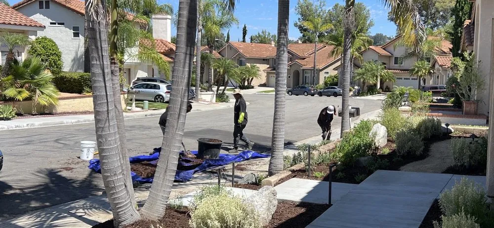 Affordable yard cleanup service for outdoor upgrades across San Juan Capistrano, CA - Standard Design Group Nurseries