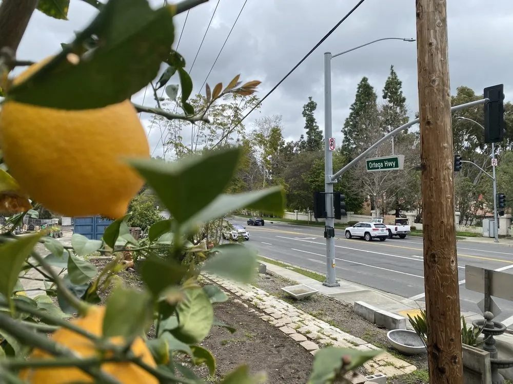 Affordable garden landscaping experts serving San Juan Capistrano, CA - Standard Design Group Nurseries