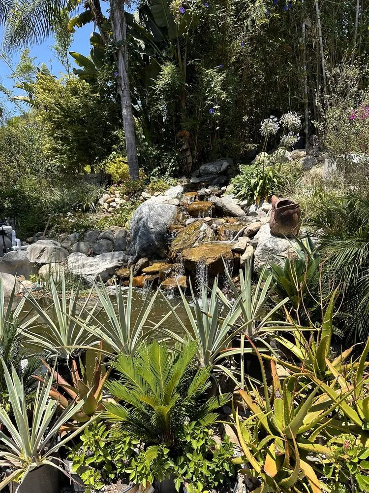 Local lawn mowing service in San Juan Capistrano, CA - Standard Design Group Nurseries