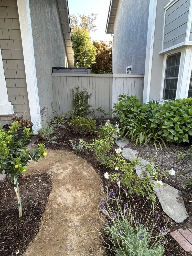 Local landscaping services experts serving San Juan Capistrano, CA - Standard Design Group Nurseries