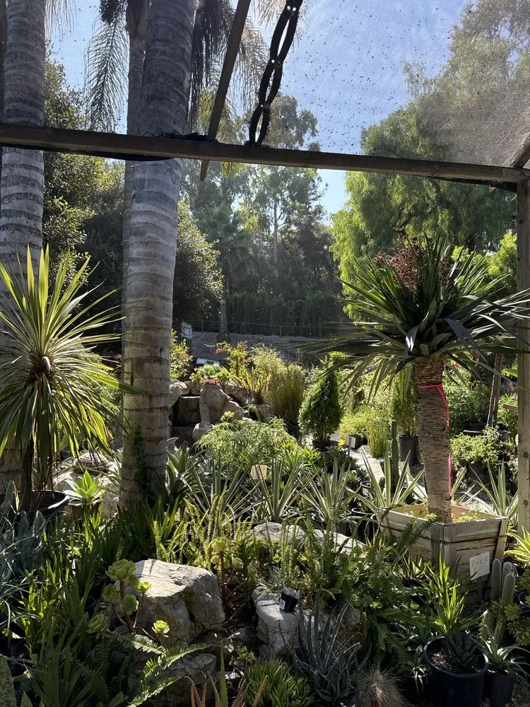 Custom garden landscaping experts serving San Juan Capistrano, CA - Standard Design Group Nurseries