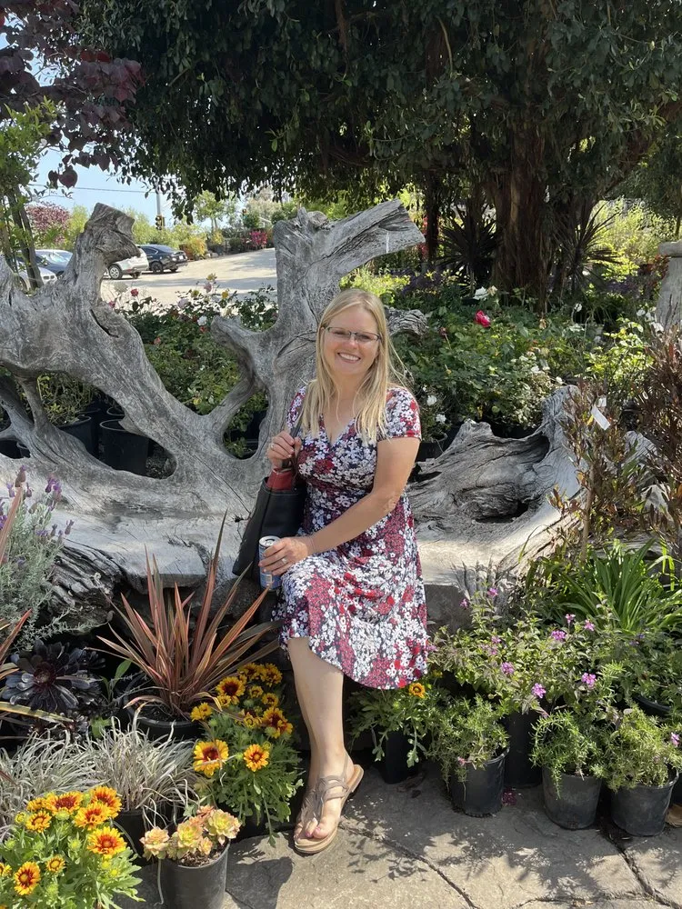 Local outdoor landscaping in San Juan Capistrano, CA - Standard Design Group Nurseries