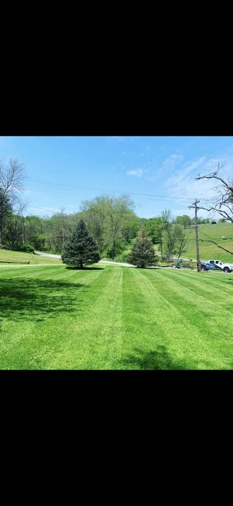 Affordable lawn care service in Washington Pa, PA - Standard Home Services