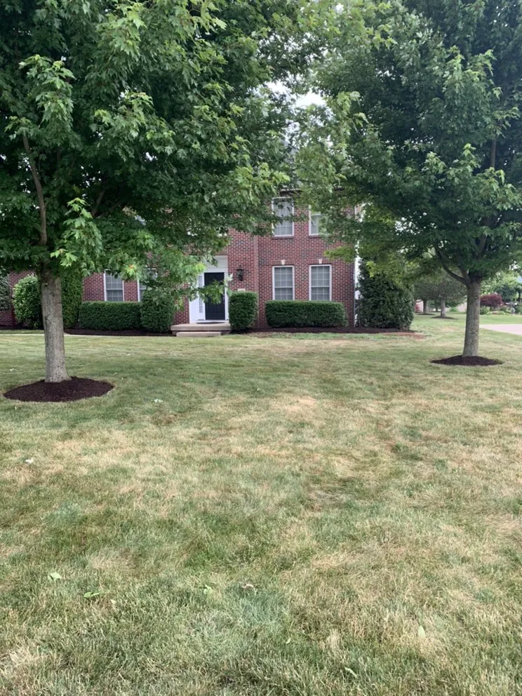 Local lawn mowing service with custom design across Washington Pa, PA - Standard Home Services