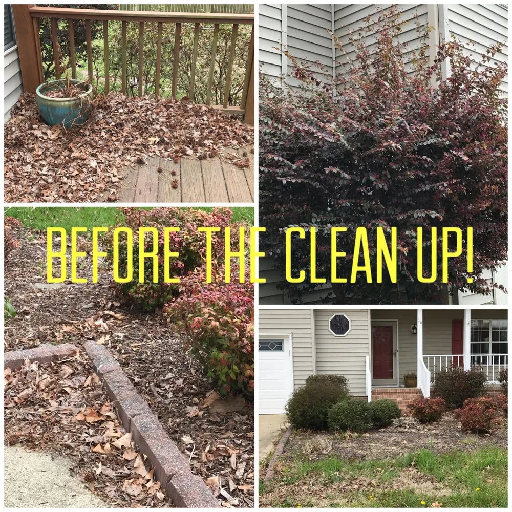 Expert yard maintenance in Treasure Island, FL by Standard Lawn Care