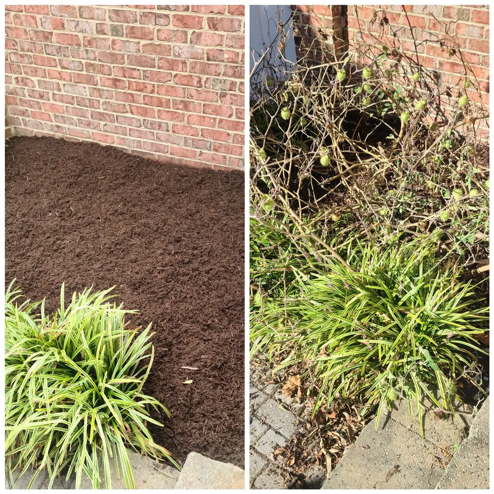 Trusted lawn care service in Treasure Island, FL by Standard Lawn Care