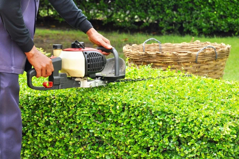 Affordable residential landscaping in Treasure Island, FL - Standard Lawn Care