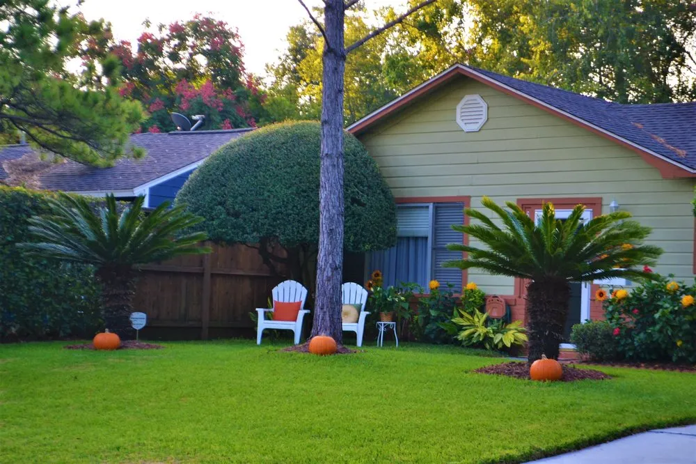 Affordable lawn care service in Treasure Island, FL by Standard Lawn Care