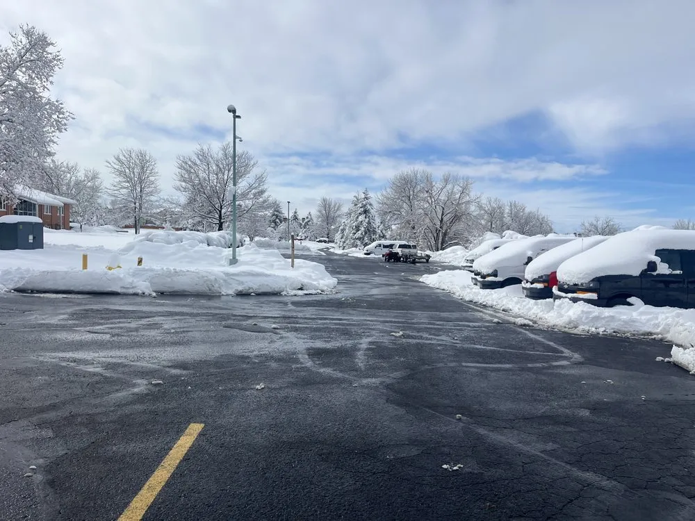 Expert lawn care service in Brighton, CO - Standard Services