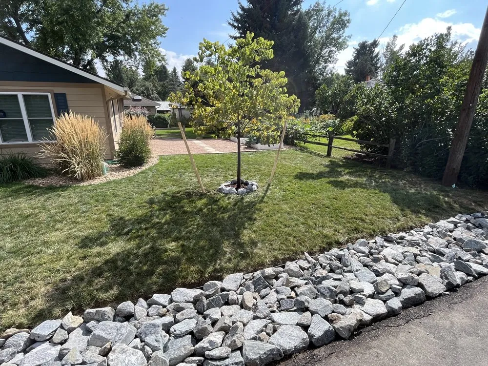 Top-rated garden landscaping for year-round maintenance across Brighton, CO - Standard Services