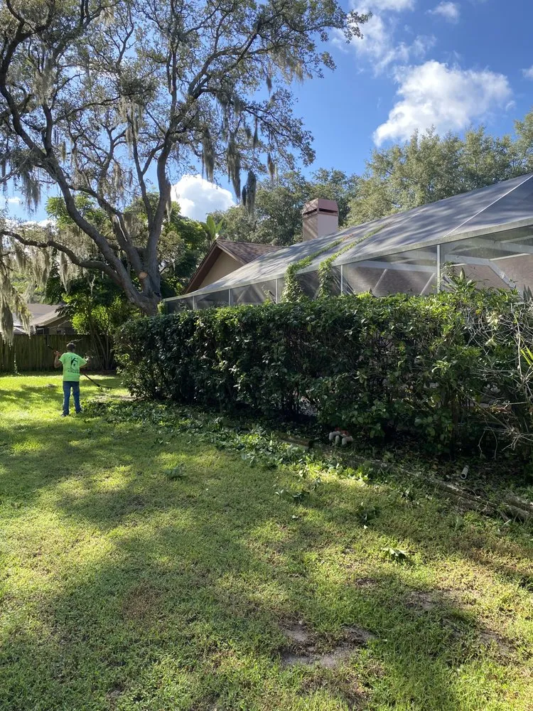 Local outdoor landscaping in Valrico, FL by Standing On A Limb Tree Service