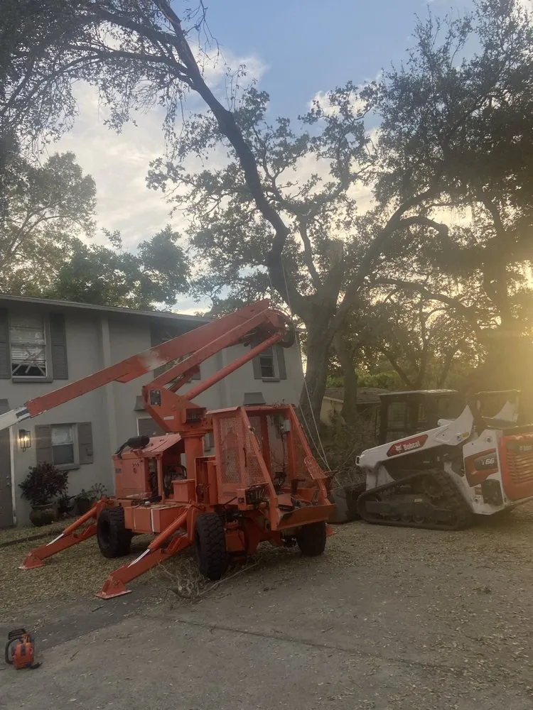 Trusted yard maintenance with custom design across Valrico, FL - Standing On A Limb Tree Service