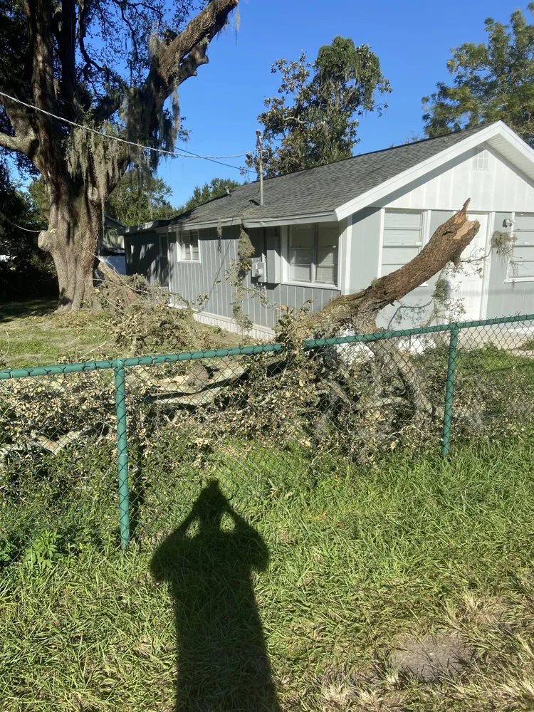 Affordable residential landscaping in Valrico, FL by Standing On A Limb Tree Service