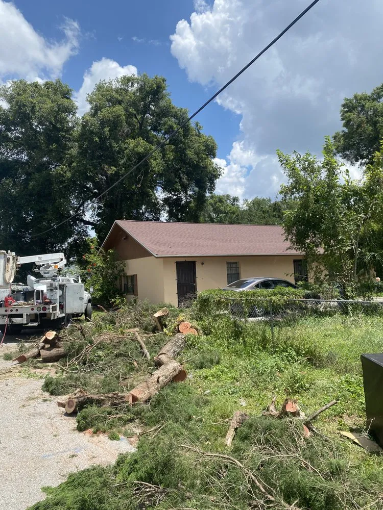 Reliable garden landscaping experts serving Valrico, FL - Standing On A Limb Tree Service