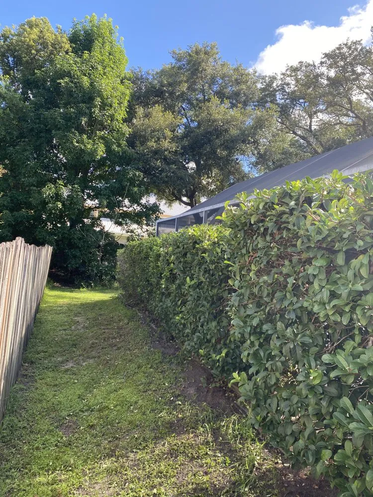 Expert residential landscaping for homes in Valrico, FL by Standing On A Limb Tree Service