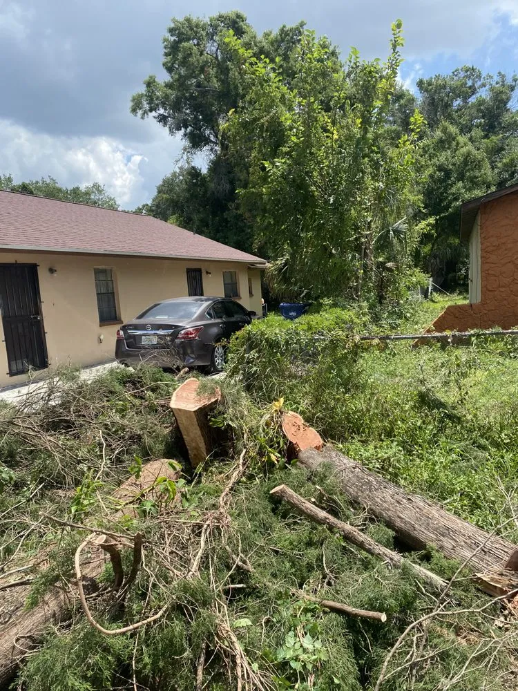 Top-rated landscape installation with custom design across Valrico, FL - Standing On A Limb Tree Service
