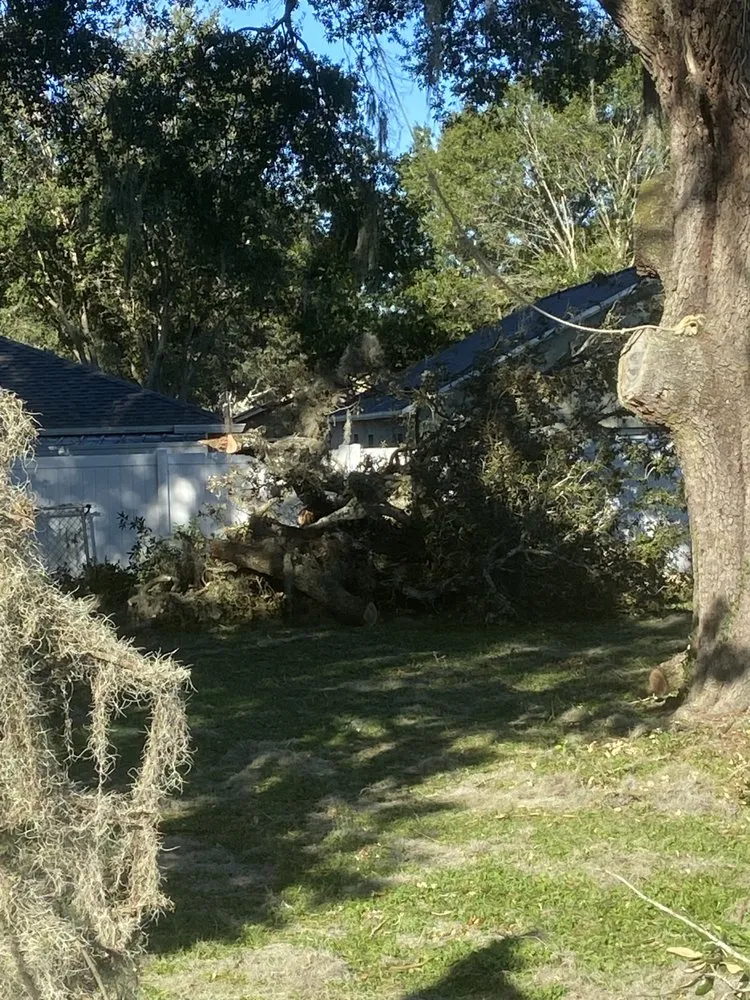 Expert lawn mowing service near you in Valrico, FL by Standing On A Limb Tree Service