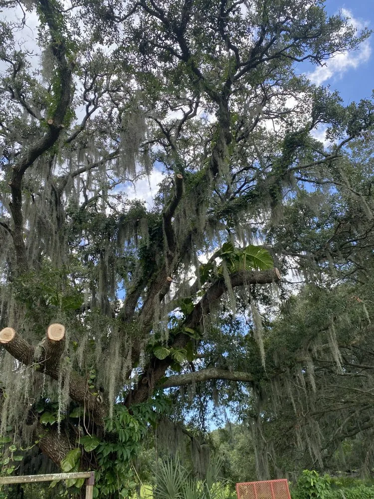 Trusted landscape design for residential properties in Valrico, FL by Standing On A Limb Tree Service